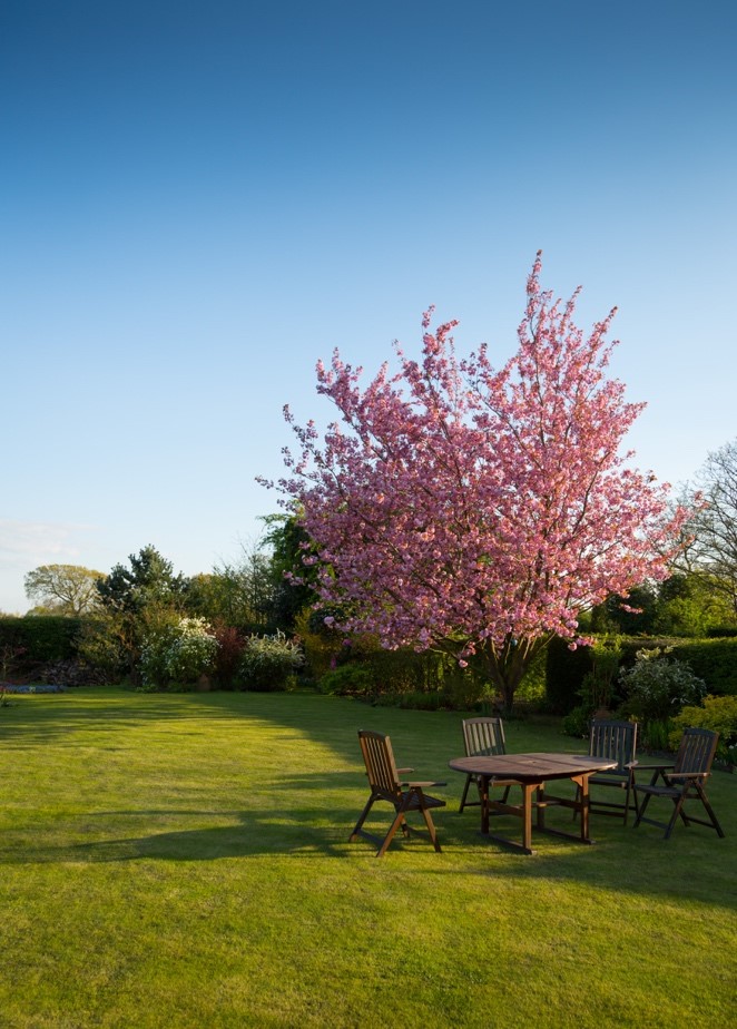 onderhoudsvriendelijke tuin